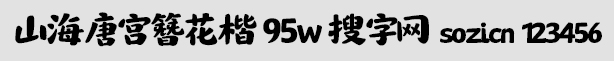 ɽƌm 95w